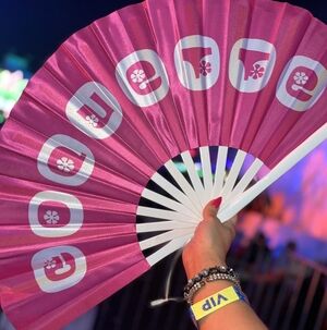 COQUETTE Pink Handheld Fan